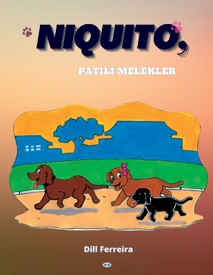 Book cover for Patili Melekler