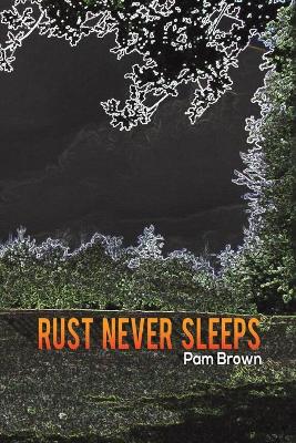 Book cover for Rust Never Sleeps