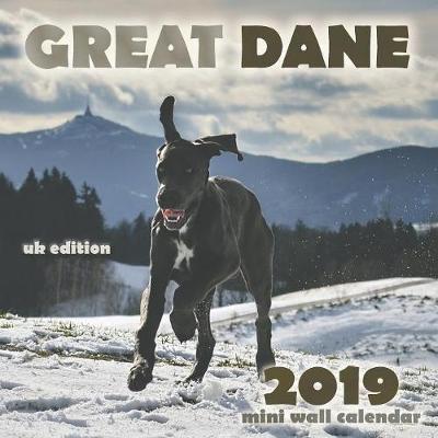 Book cover for Great Dane 2019 Mini Wall Calendar (UK Edition)