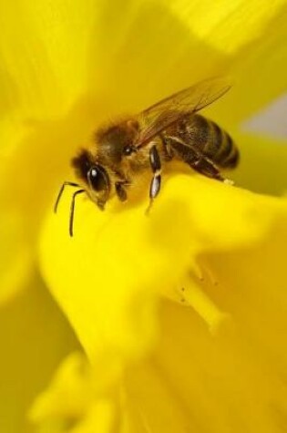 Cover of Honey Bee on a Yellow Daffodil Flower Journal