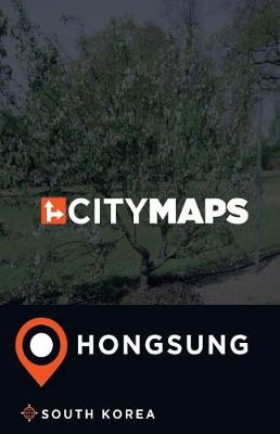 Book cover for City Maps Hongsung South Korea