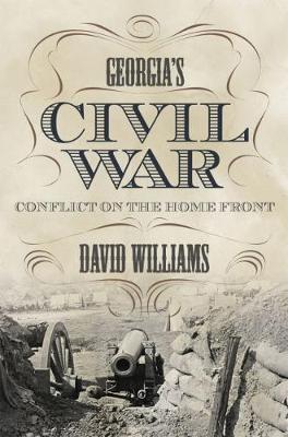 Book cover for Georgia's Civil War