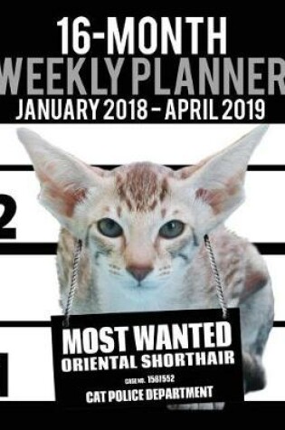 Cover of 2018-2019 Weekly Planner - Most Wanted Oriental Shorthair