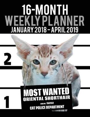 Cover of 2018-2019 Weekly Planner - Most Wanted Oriental Shorthair