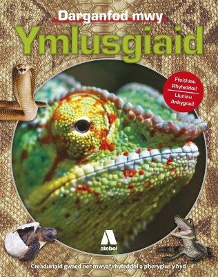 Book cover for Ymlusgiaid