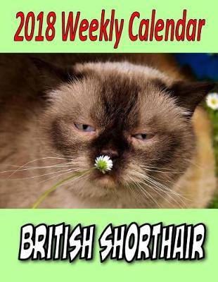 Book cover for 2018 Weekly Calendar British Shorthair