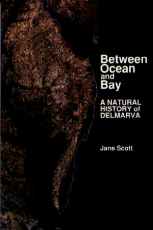 Cover of Between Ocean and Bay