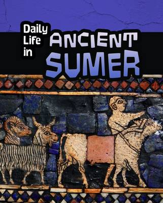 Cover of Daily Life in Ancient Civilizations Pack B of 4