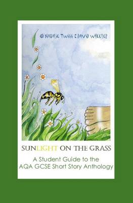 Book cover for Sunlight on Grass: a Student Guide to the AQA GCSE Short Story Anthology