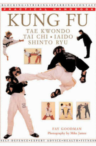 Cover of Kung Fu