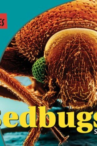 Cover of Bedbugs