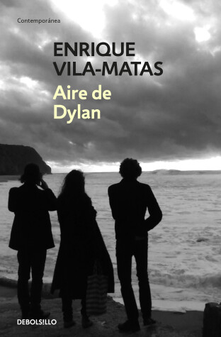 Book cover for Aire de Dylan / Dylan's Air