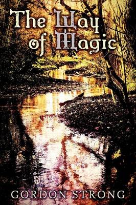 Book cover for The Way of Magic
