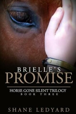 Cover of Brielle's Promise