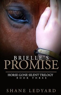Book cover for Brielle's Promise