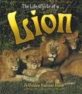 Book cover for The Life Cycle of a Lion