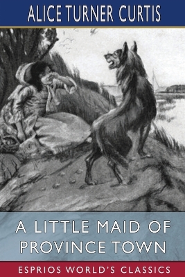 Book cover for A Little Maid of Province Town (Esprios Classics)