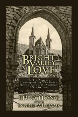 Cover of Bright Valley of Love