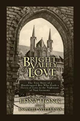 Book cover for Bright Valley of Love