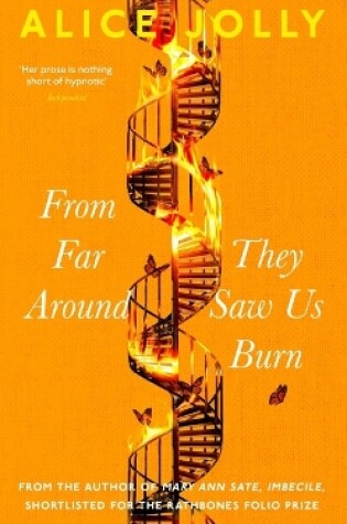 Cover of From Far Around They Saw Us Burn