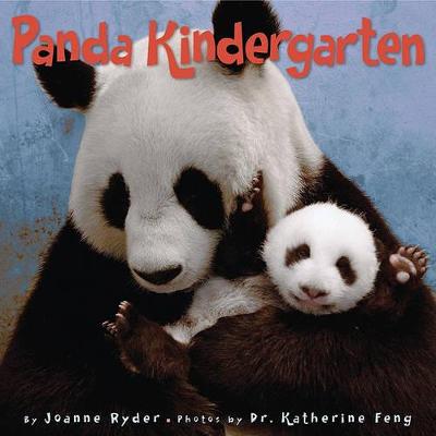 Book cover for Panda Kindergarten