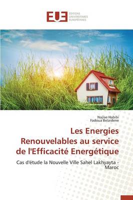 Cover of Les Energies Renouvelables Au Service de l'Efficacite Energetique