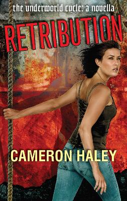 Book cover for Retribution