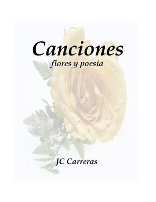 Book cover for Canciones