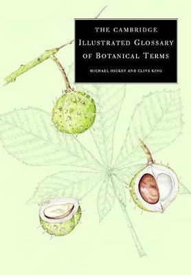 Book cover for The Cambridge Illustrated Glossary of Botanical Terms