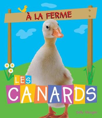 Book cover for ? La Ferme: Les Canards
