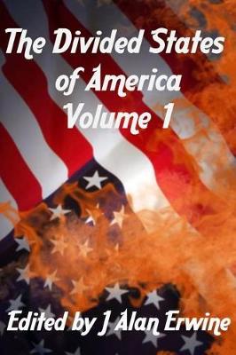 Book cover for The Divided States of America Volume 1