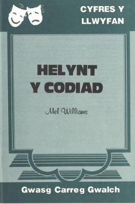 Book cover for Cyfres y Llwyfan: Helynt y Codiad