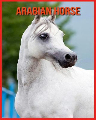 Book cover for Arabian Horse