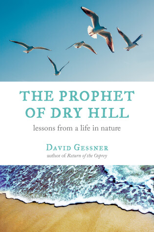 Cover of The Prophet of Dry Hill