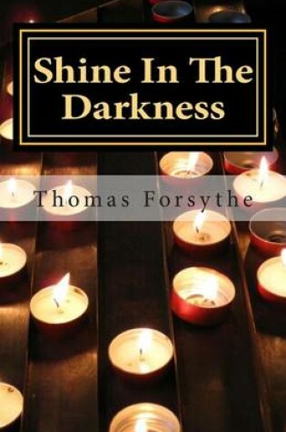 Cover of Shine In The Darkness