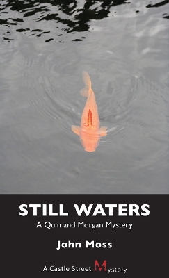 Book cover for Still Waters