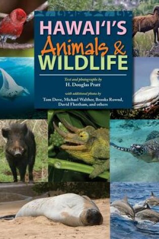 Cover of Hawaiis Animals & Wildlife