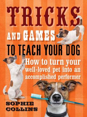 Book cover for Tricks and Games to Teach Your Dog