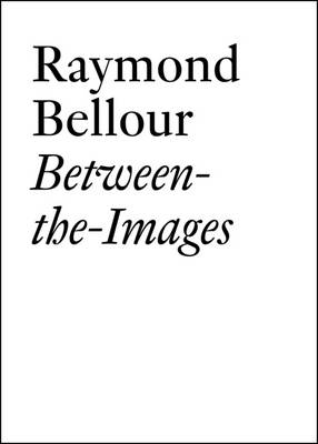 Book cover for Raymond Bellour