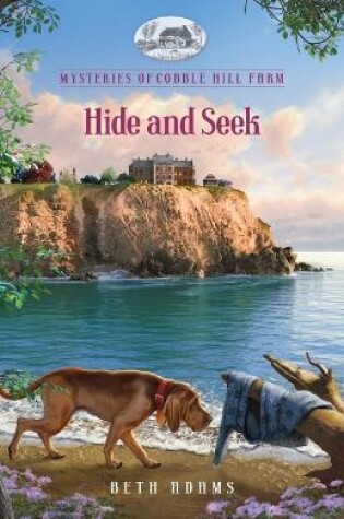 Cover of Hide and Seek