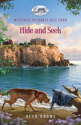 Book cover for Hide and Seek