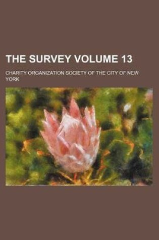 Cover of The Survey Volume 13