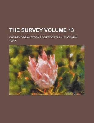 Book cover for The Survey Volume 13