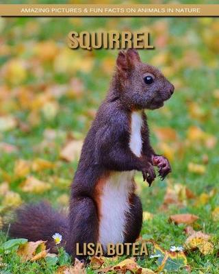 Book cover for Squirrel