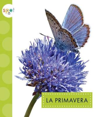 Book cover for La Primavera