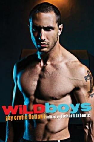 Cover of Wild Boys