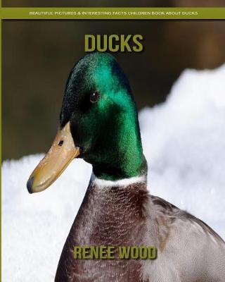 Book cover for Ducks