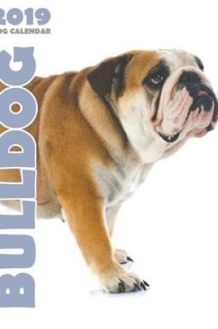 Cover of Bulldog 2019 Dog Calendar