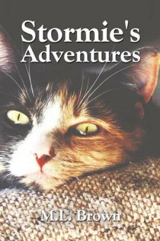 Cover of Stormie's Adventures