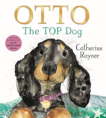 Book cover for Otto The Top Dog